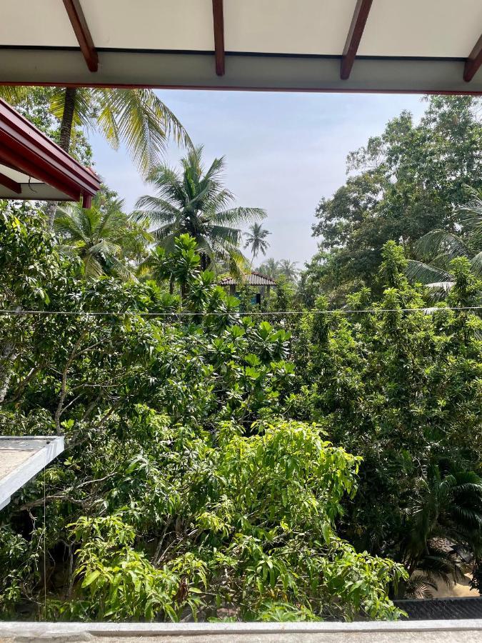Jungle Escape Hiriketiya Hotell Dikwella Eksteriør bilde