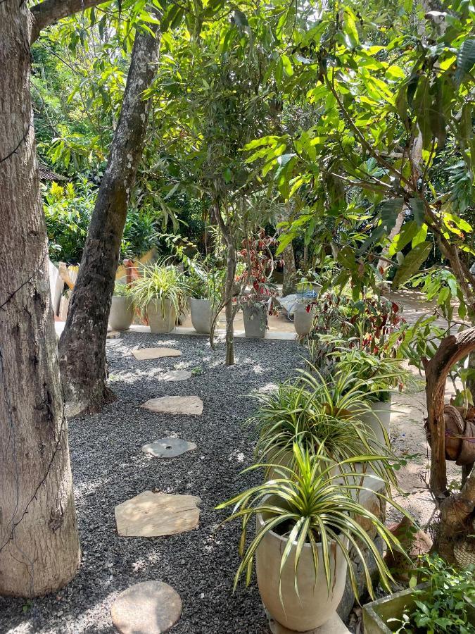 Jungle Escape Hiriketiya Hotell Dikwella Eksteriør bilde